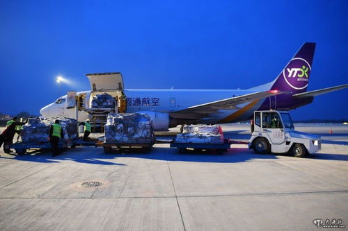 甘肅貨運(yùn)專(zhuān)機(jī)滿(mǎn)載防疫物資馳援武漢 彰顯空中運(yùn)輸力量